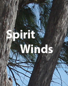 Sprit Winds