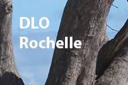 DLO Rochelle