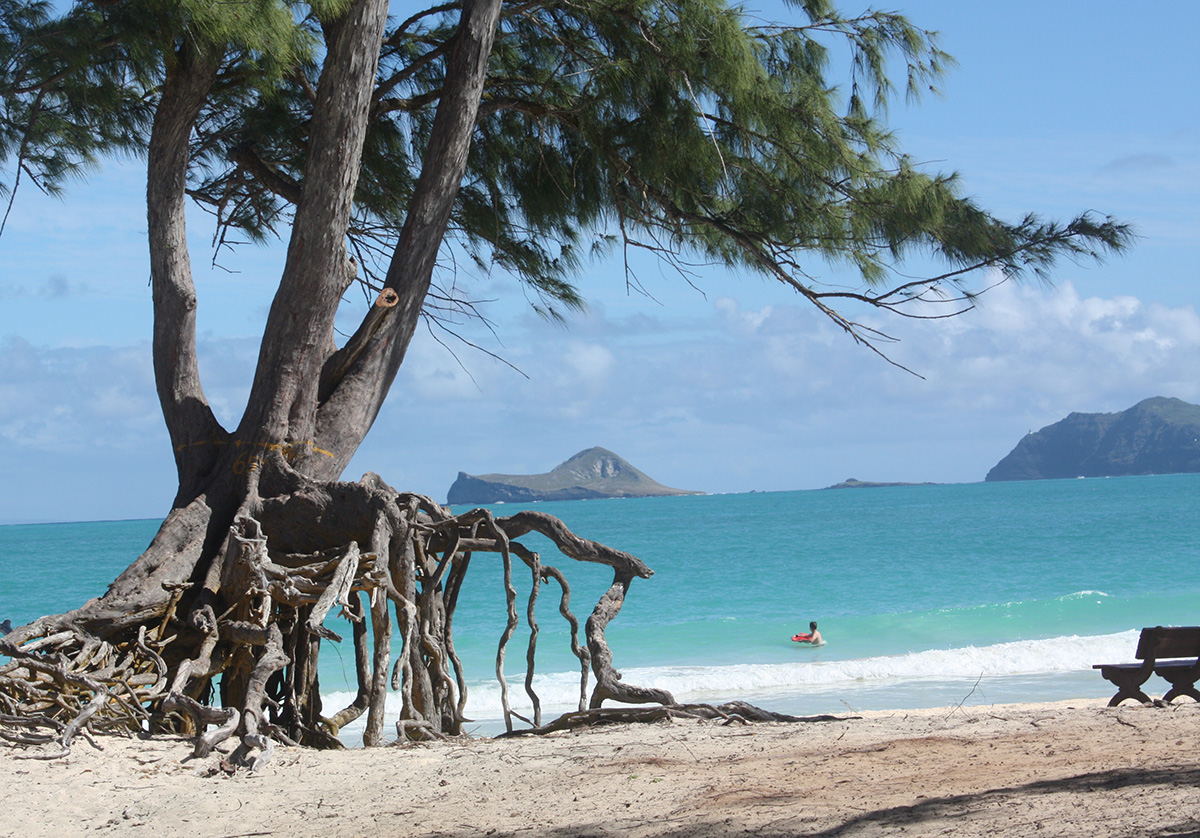 Bellows Beach, Oahu